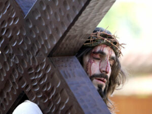 CONSEJO LOCAL DE HERMANDADES Y COFRADIAS