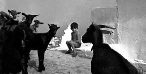 UFCA disertó sobre las "nuevas formas de gestión" en la fotografía