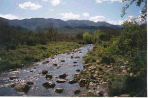 Acción contra el exceso de agua acumulado con las lluvias