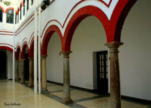 A punto la presentación del libro 'La identidad andaluza en el flamenco'