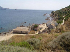 Media tonelada de hachís intervenida en  la Ballenera