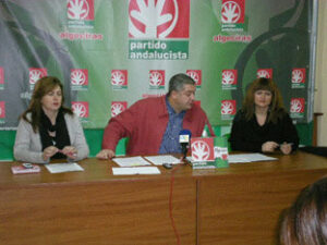 El PA reafirma que hubo prevaricación en la concesión del servicio de grúas