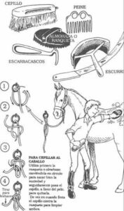 El mantenimiento del caballo
