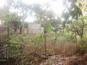 Recuperada otra parcela en Almasilla