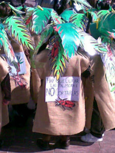 Picudos Rojos de 5 años