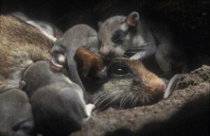 Taller de fotografía de naturaleza con pernocta campestre