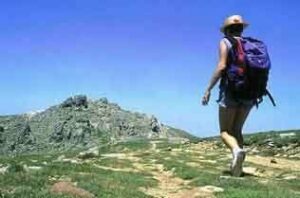 La web municipal cuenta con una guía sobre los senderos algecireños