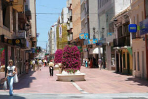 Denuncian el proyecto del PP para vigilar con cámaras a los ciudadanos en el centro