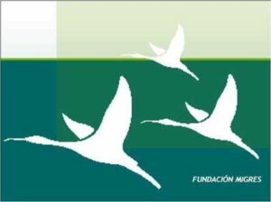 Todo a punto para el importante congreso sobre aves y cambio climático