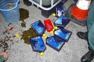 Intervenidos 18 kilos de hachís ocultos en botes de aceite y patas de mesa