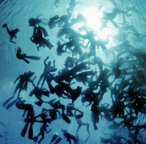 El Club de Buceo Caetaria de Algeciras coopera con Fotosub Cádiz 2010"