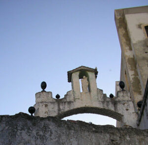 Adelante Algeciras demanda un plan de choque para adecentar el Patio del Coral