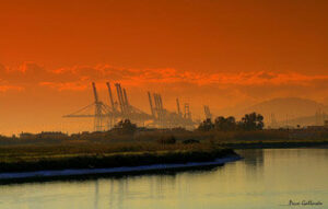 Ese "pestilente olor" que inundó Algeciras.