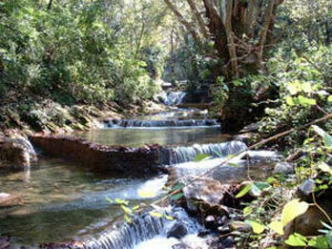 La Junta de Gobierno conoce el informe de la asesoría jurídica sobre Emalgesa