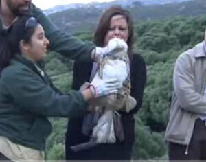 La delegada de Medio Ambiente visita las obras de reforma del CREA de Algeciras