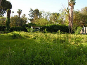 La Trocha denuncia el abandono de las Factorías Romanas de Salazones de Algeciras