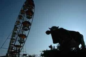 Los andalucistas dicen: "La prepotencia de Nieto impide que haya Feria de Ganado"