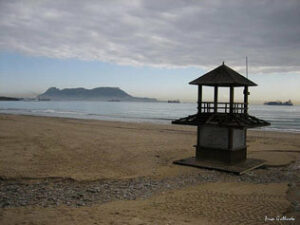 Medio Ambiente promete más protección en la Bahía de Algeciras