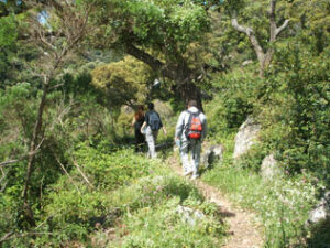 Encuentran a un menor que se había perdido cuando iba con sus amigos por la Garganta del Capitán