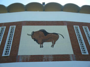 Dos novilleros de la escuela taurina algecireña actuarán este fin de semana en Ronda