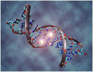 Polémica en torno a la primera célula sintética