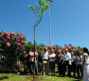 La Asociación Orión siembra el segundo árbol del "Parque de la Vida"