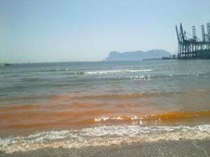 La 'Noctiluca Scintillans' es el alga causante de la marea roja en el Rinconcillo