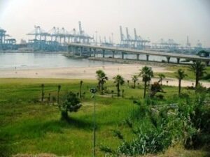 La playa de La Concha deja mucho que desear", conclusión de las quejas de muchos ciudadanos