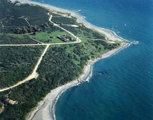 Otro tiburón cierra las playas de Torrecarbonera y El Burgo