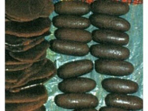 La Guardia Civil detiene a dos personas por transportar droga en el interior del organismo