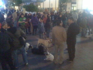 Algeciras firma y dice no al maltrato animal