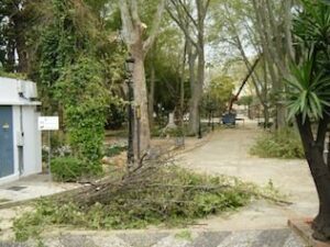 El parque María Cristina permanecerá cerrado durante el día de hoy