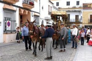 La localidad de Los Barrios se prepara para celebrar la festividad de su Patrón