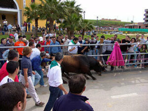 La peña El Toro Embolao presenta el cartel de su próximo festejo