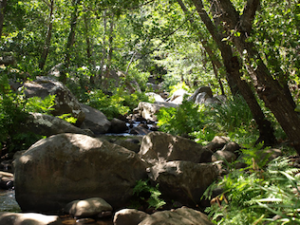 El senderismo y el kayak serán las claves de 'Primavera Activa 2011'