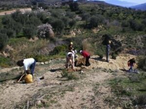 Abierta la convocatoria del programa internacional de campos de trabajo para jóvenes