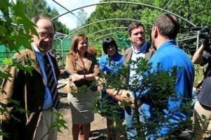 Trillo visita Algeciras para valorar las inversiones realizadas en la ciudad