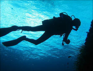 Actividades Algeciras en Domingo" para este fin de semana