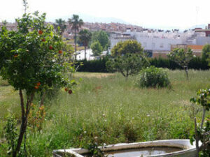 CDL denuncia el estado de varias parcelas municipales