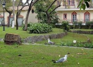 "Liberación literaria" en el Parque de las Acacias