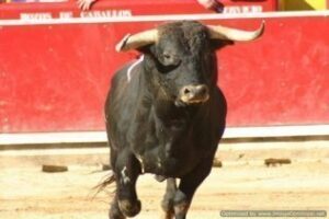 Escuela de Tauromaquia y Asociación de Aficionados Prácticos organizan una charla coloquio con José Luis Galloso