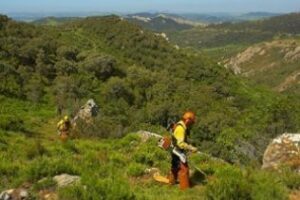 Acusan a la Agencia AMAYA de incumplir" en materia de prevención de riesgos laborales