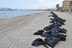Los operarios recogen 23 toneladas del residuo vertido en las playas algecireñas