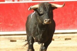 El futuro de la fiesta, por Bernardo Prado Ledesma