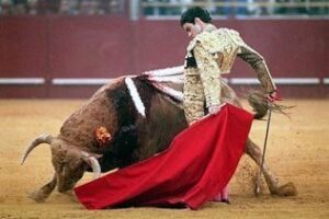 José Tomás genera 1,5 millones de euros cada vez que se viste de luces