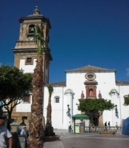El Consistorio coloca palmeras en la Plaza Alta resistentes al temido picudo rojo