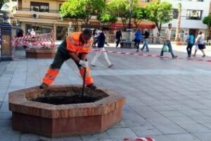 La rajada más grande de Algeciras jamás contada