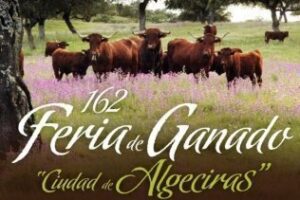 Landaluce pone la feria del ganado en el Club Hípico Botafuegos, el mismo que clausuró el PSOE por ilegalidad