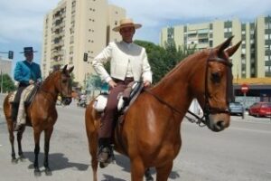 Jinetes y amazonas toman las calles del real en el tradicional paseo de caballos