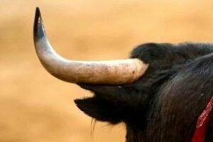 El Juli y José Tomás no estarán en la Feria de Sevilla